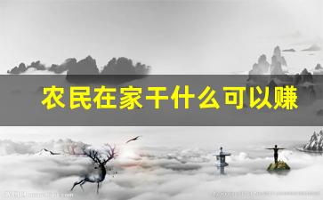 农民在家干什么可以赚钱_农村在家里就能赚钱的工作