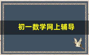 初一数学网上辅导