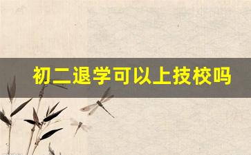 初二退学可以上技校吗_初中毕业生怎么自考大专