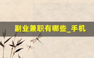 副业兼职有哪些_手机副业兼职做什么好呢