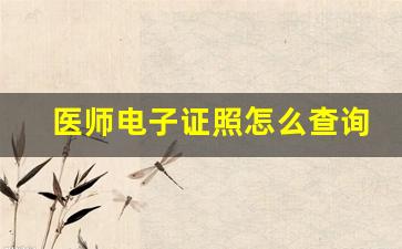 医师电子证照怎么查询_护士执业电子证照申请