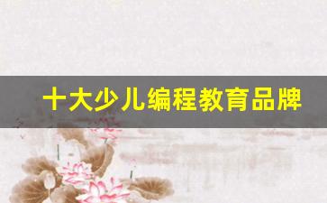 十大少儿编程教育品牌