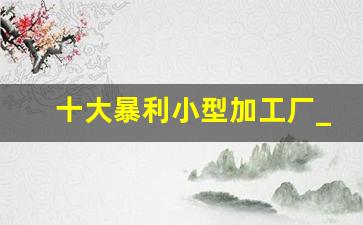 十大暴利小型加工厂_适合女人的小型加工厂