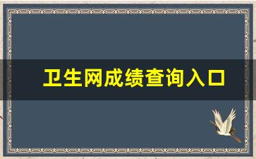 卫生网成绩查询入口