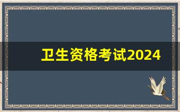 卫生资格考试2024