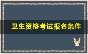 卫生资格考试报名条件_2024卫生资格考试