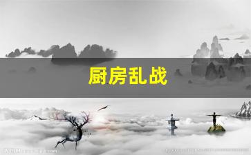 厨房乱战