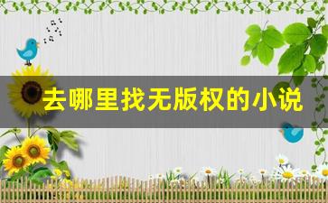 去哪里找无版权的小说_无版权书籍资源