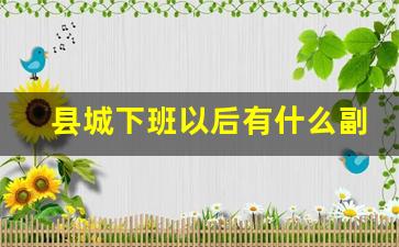 县城下班以后有什么副业可做