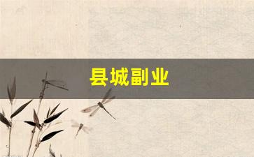 县城副业