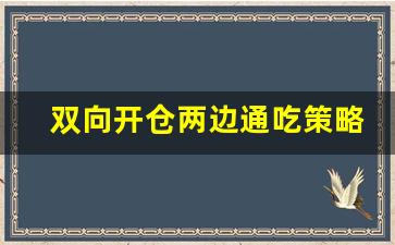 双向开仓两边通吃策略