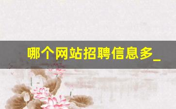 哪个网站招聘信息多_大型企业招聘一般在什么网站