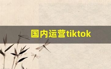 国内运营tiktok会封号吗