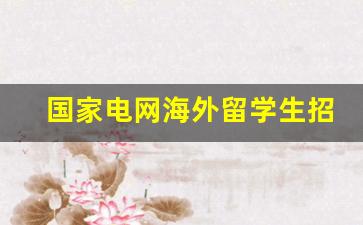 国家电网海外留学生招聘