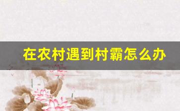 在农村遇到村霸怎么办