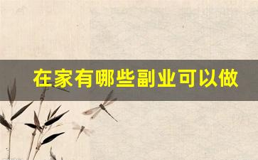 在家有哪些副业可以做_怎么从网上接单干活呢