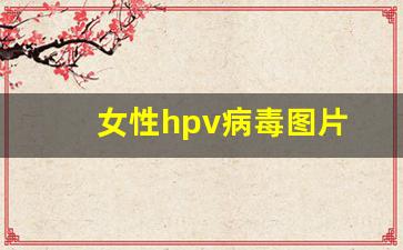 女性hpv病毒图片