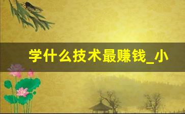 学什么技术最赚钱_小本生意做什么好赚钱快