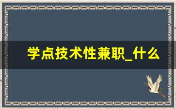 学点技术性兼职_什么技能兼职最好