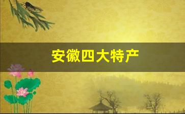 安徽四大特产