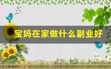 宝妈在家做什么副业好_现在的孕妈能做什么副业啊