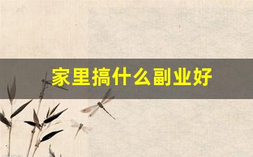 家里搞什么副业好