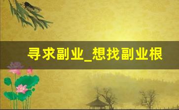 寻求副业_想找副业根本找不到
