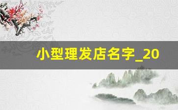 小型理发店名字_2023理发店必火的店名