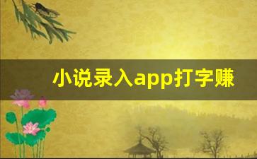 小说录入app打字赚钱_文章录入任务平台