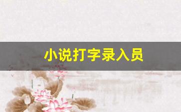 小说打字录入员