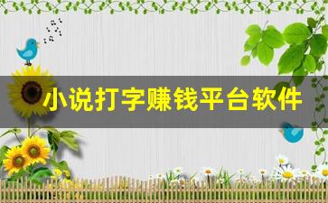 小说打字赚钱平台软件_手打小说赚钱