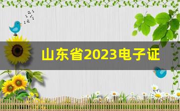 山东省2023电子证照相关文件_山东省公安厅制证中心