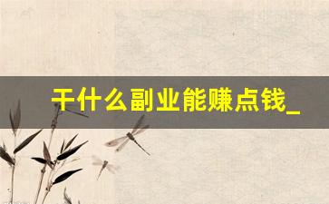 干什么副业能赚点钱_第二副业做什么好