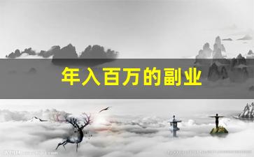 年入百万的副业