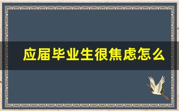 应届毕业生很焦虑怎么办_毕业刚参加工作心理压力