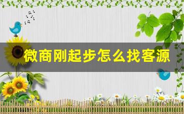 微商刚起步怎么找客源