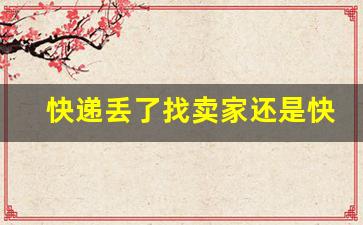 快递丢了找卖家还是快递