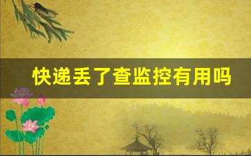 快递丢了查监控有用吗