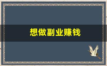 想做副业赚钱