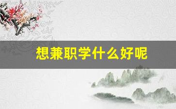 想兼职学什么好呢