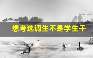 想考选调生不是学生干部怎么办_选调中的学生干部是指