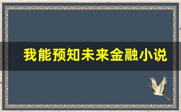 我能预知未来金融小说