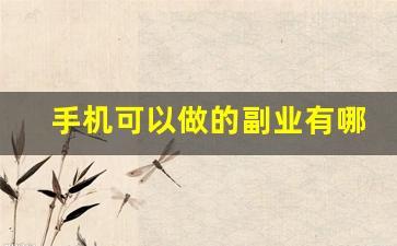 手机可以做的副业有哪些_手机可以做的正规兼职
