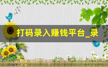 打码录入赚钱平台_录入平台下载
