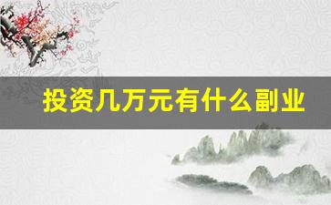 投资几万元有什么副业可以做_现在做什么副业好挣钱