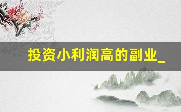 投资小利润高的副业_时间自由投资低的副业