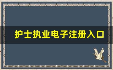 护士执业电子注册入口手机版_护士执业信息电子注册入口