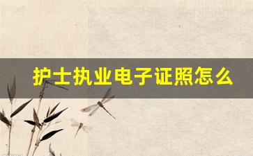 护士执业电子证照怎么打印_护士电子证照