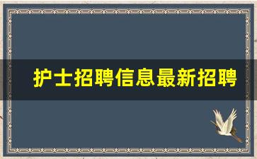 护士招聘信息最新招聘2023_急聘护士30名