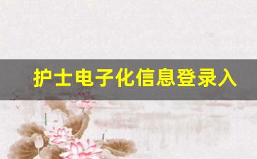 护士电子化信息登录入口个人端